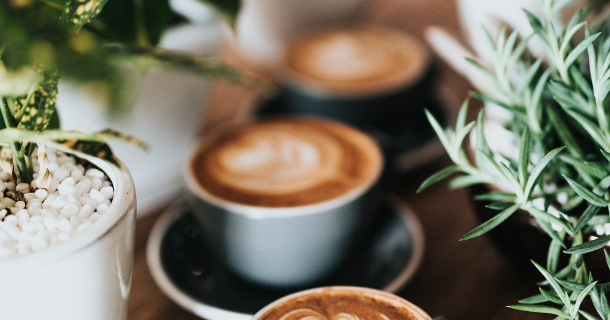 Café Especial vs. Café Comum: Qual a Diferença?
