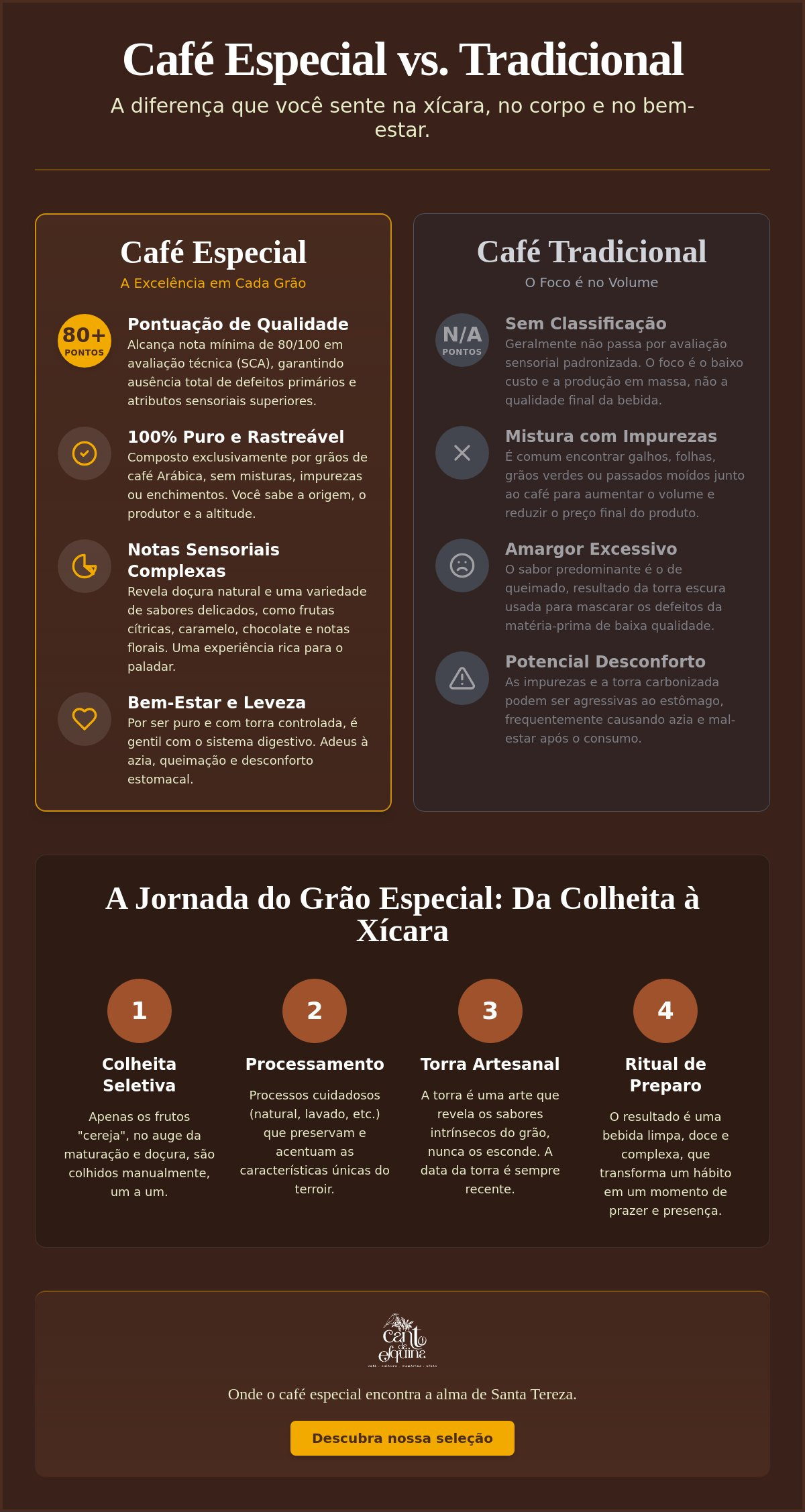 Diferença entre café especial e tradicional: O guia do sabor e do afeto