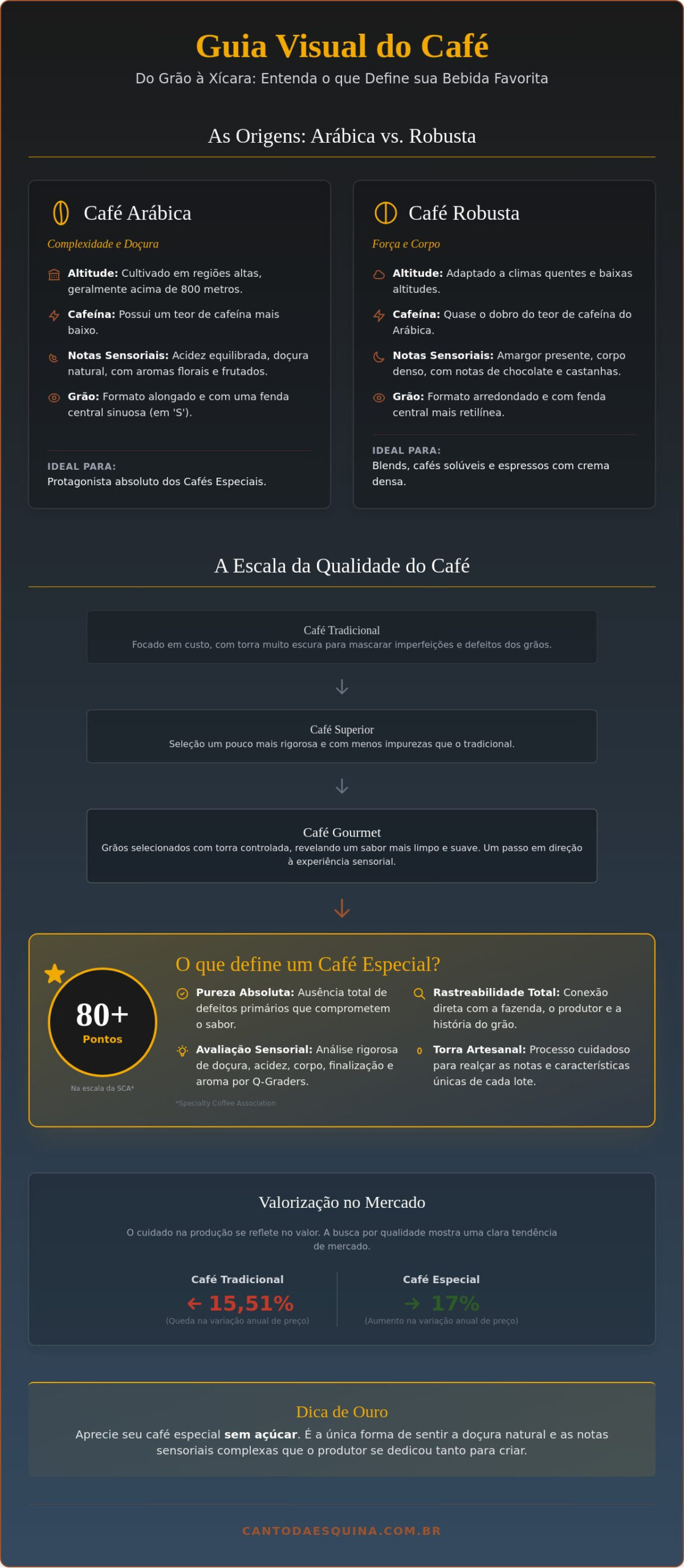 Tipos de café: Um guia completo do grão à xícara para apaixonados