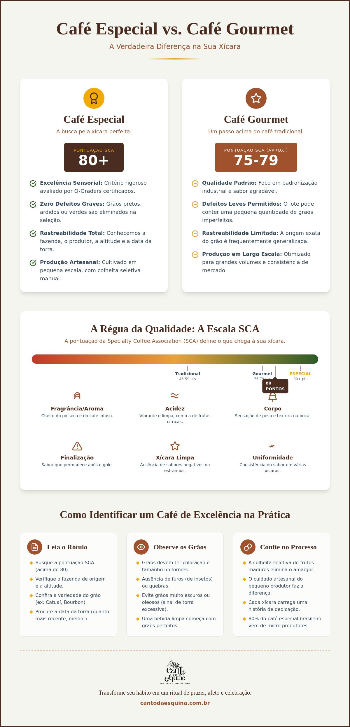 Diferença entre café especial e gourmet: Guia para saborear com afeto